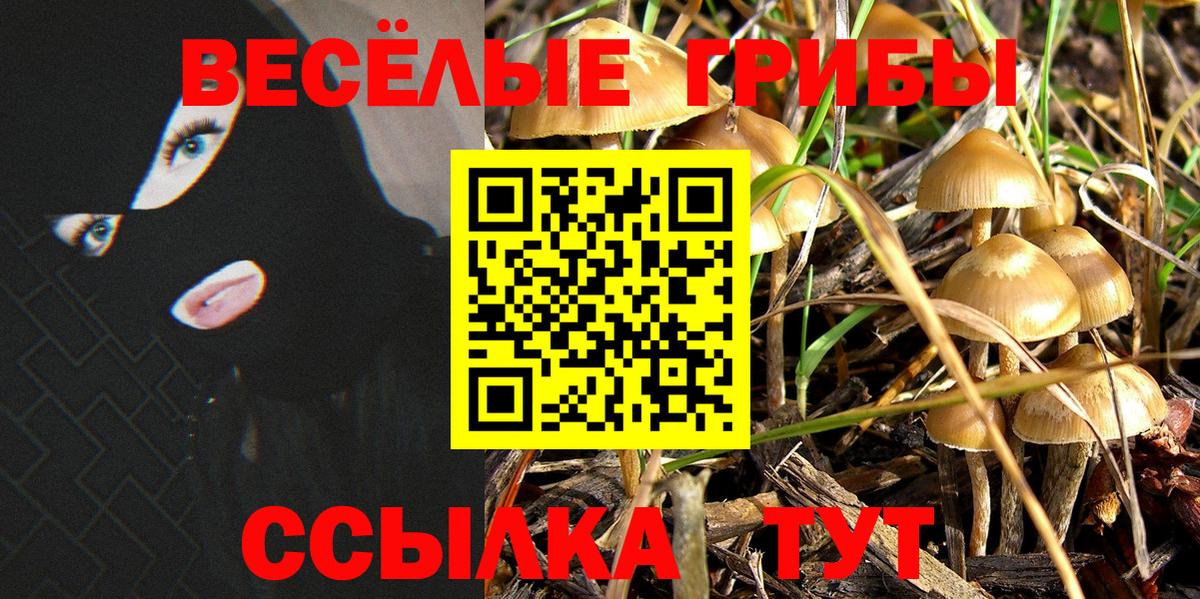 Псилоцибиновые грибы мицелий Аргун