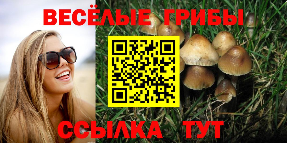Аргун  Псилоцибиновые грибы MAGIC MUSHROOMS  Вход с VPN 
